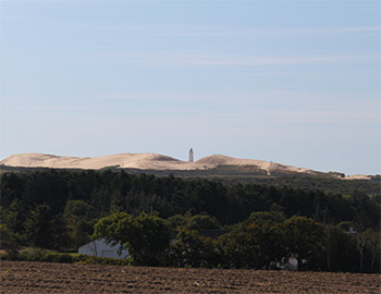 Der Leuchtturm bei Rubjerg Knude mit Sand, Wald, Gestrüpp und Ackerland im Vordergrund